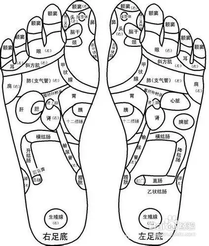 老年人如何自行做足底按摩实现足底保健?