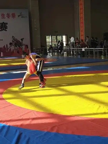 团结拼搏,共创佳绩——华兴小学2018年昆明市中小学生冬季摔跤比赛