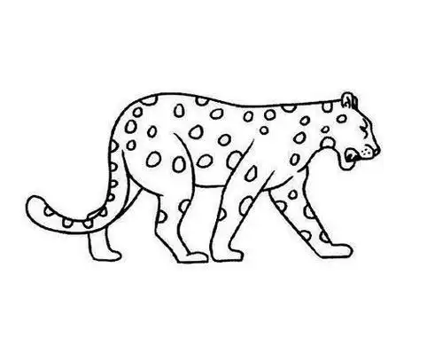 豹子的简笔画是怎么画的