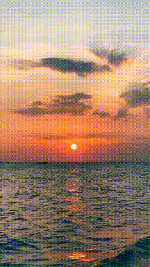 216_384gif 动态图 动图