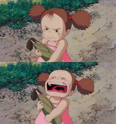 宫崎骏 龙猫 壁纸小梅