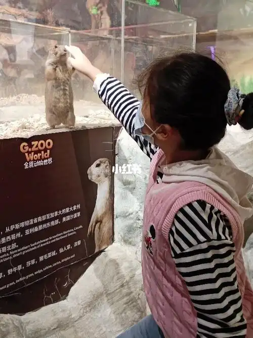 打卡河西金鹰动物世界