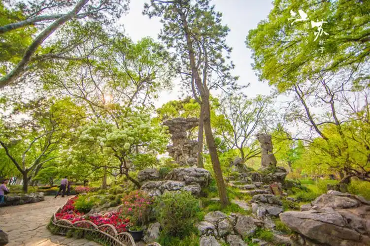 此山名为 "缀云峰",高耸在绿树竹荫中,与西侧凉快形状怪异的石峰并立