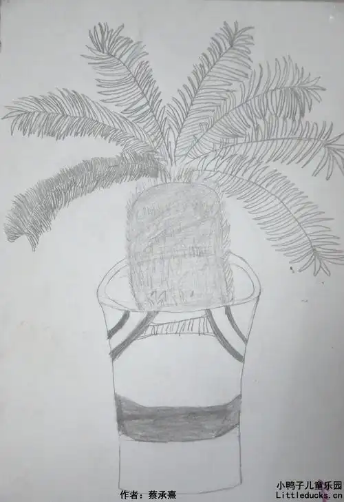 蔡承熹的铅笔画作品铁树