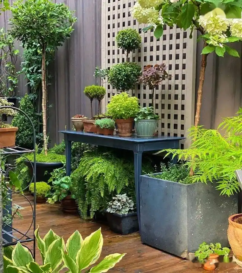 迷你花境花园再小也能装得下