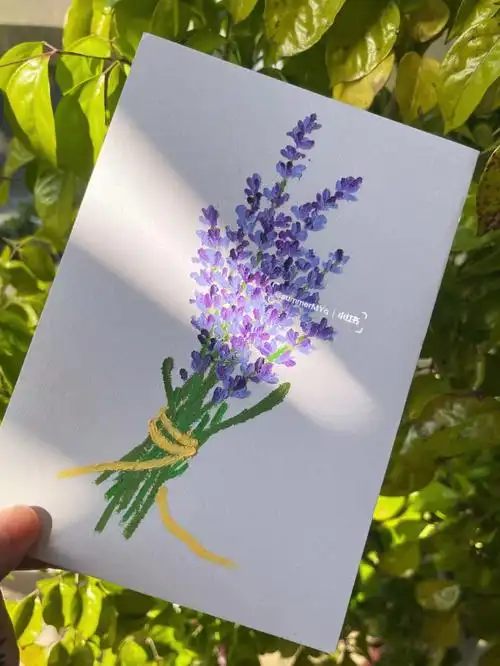 油画棒薰衣草
