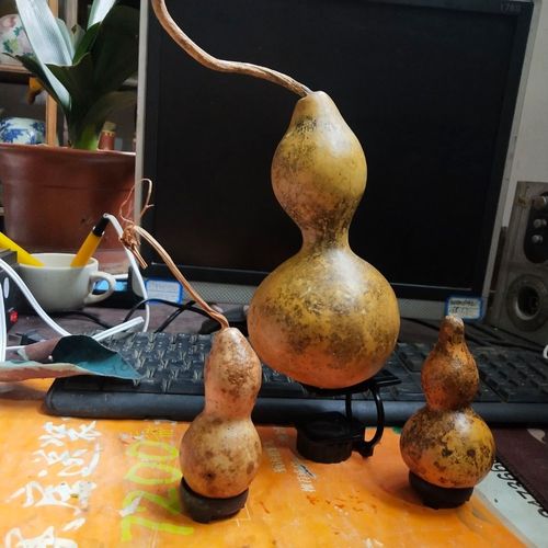t932花皮葫芦三个合售,按图发快递天然艺术葫芦