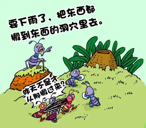 下雨前,蚂蚁会感觉到空气中的潮湿程度,蚂蚁搬家蜻蜓,燕子为了捕捉