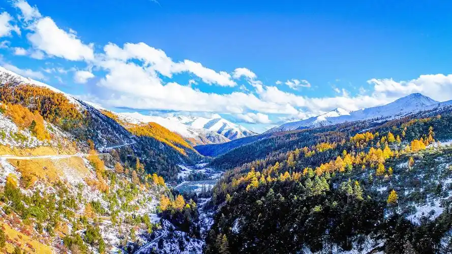 秋冬美景惊艳同框!云南白马雪山遇初雪_新华报业网