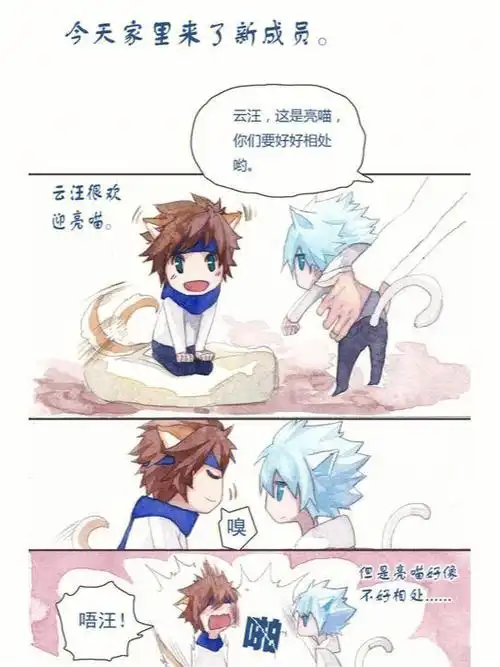 我是在网上找到的#王者荣耀云亮