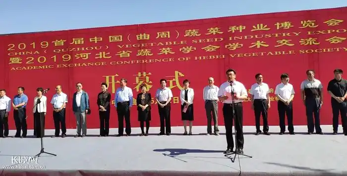 曲周县委书记李凡表示,曲周有蔬菜播种面积21万亩,年产量96万吨.