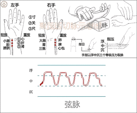 中医:摸脉原来如此简单!