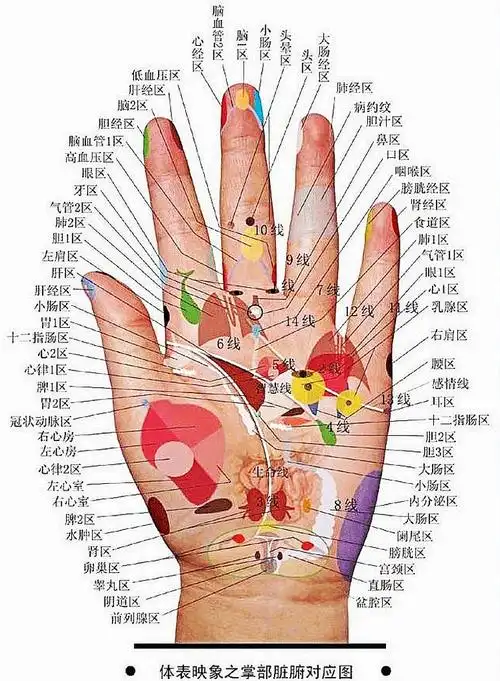 想不到:男女最爱做的事竟是它!