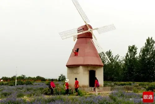 【热闹的可润农庄】