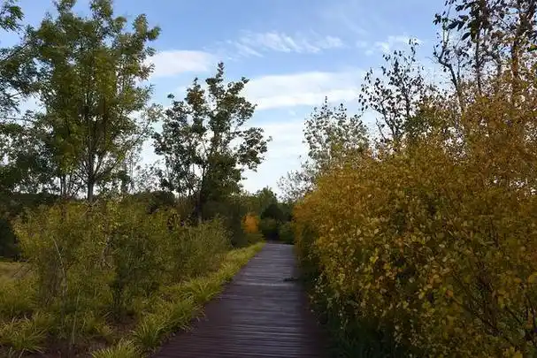 上海浦东森兰体育公园,一座以体育为主题的综合性公园,坐落在浦东新区