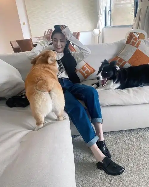 演员林夏薇老公叫什么名字(林夏薇和林峰有什么关系)-鸥勇号