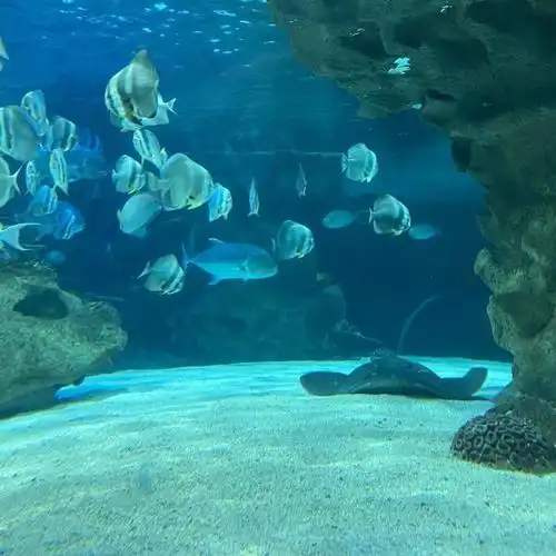 新西兰富国海底世界