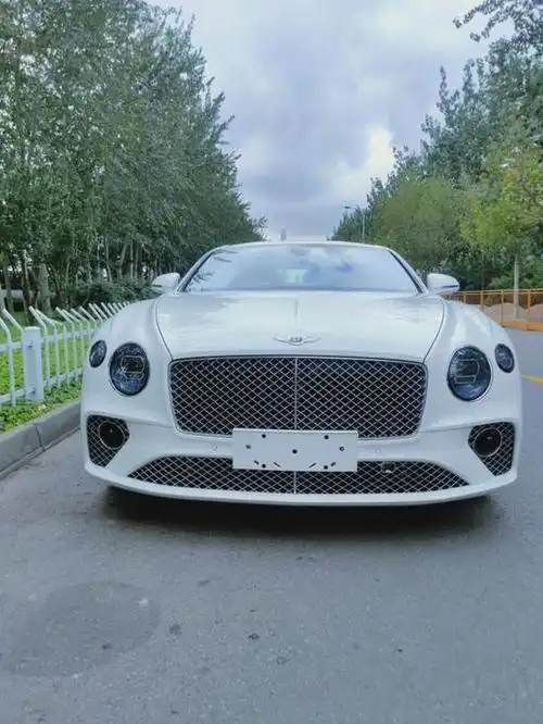 宾利欧陆gt硬顶轿跑295万降价提车颜色全|座椅|豪车_网易订阅