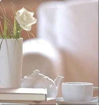 宁静~~静谧~~~感觉安静~~淡雅~~芳香