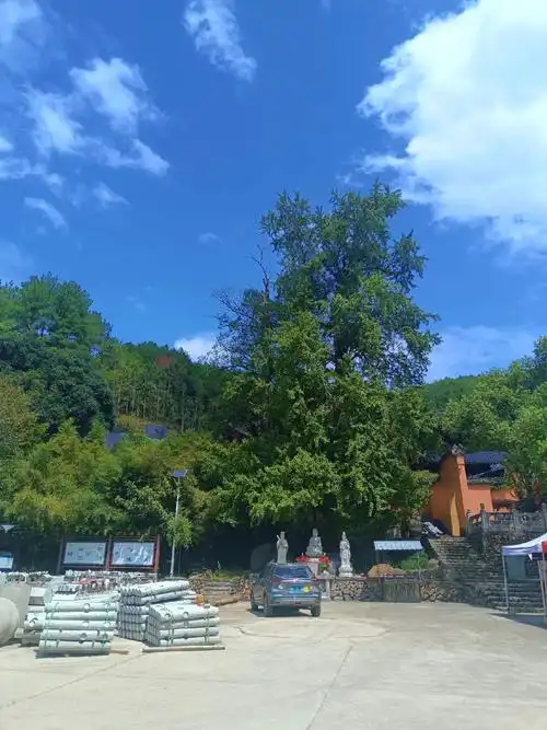 瑞岩寺半日游! - 抖音