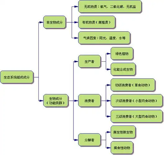 用inspiration软件制作的《生态系统组成》概念图