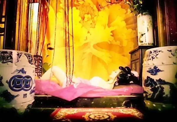 《红楼梦》秦可卿房间里放着杨贵妃的木瓜 此举有何深意