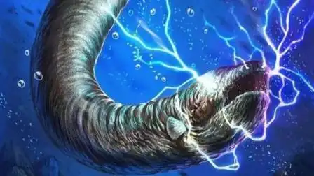 把食人鱼饿7天,丢进去条电鳗会如何?电鳗:看哥给你秀操作!