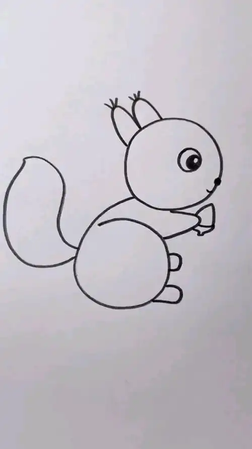 一看就会的小松鼠简笔画