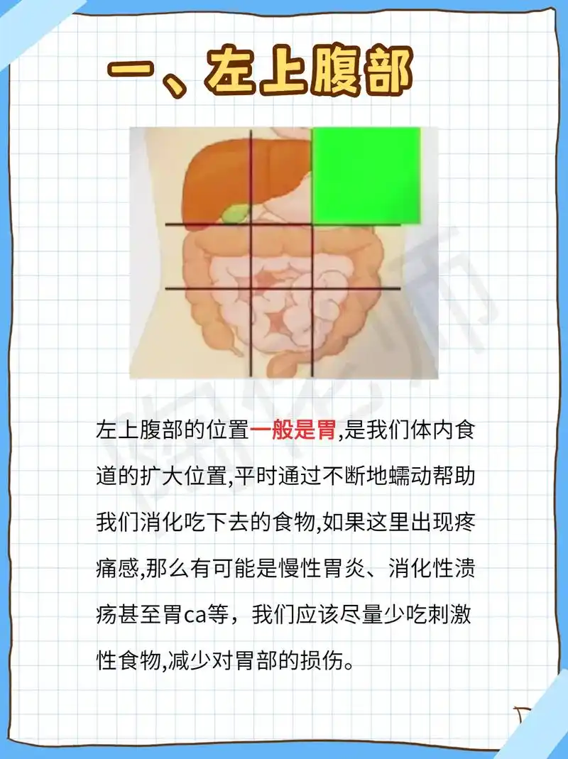 腹部的平面图来啦!这些部分你需要掌握的!掌握到就是加分!#陶 - 抖音
