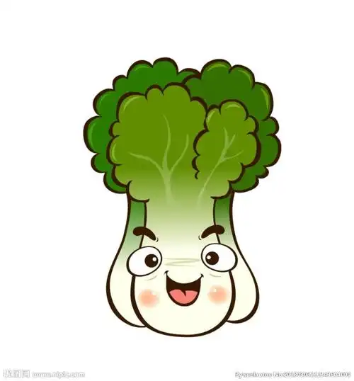 卡通白菜图片