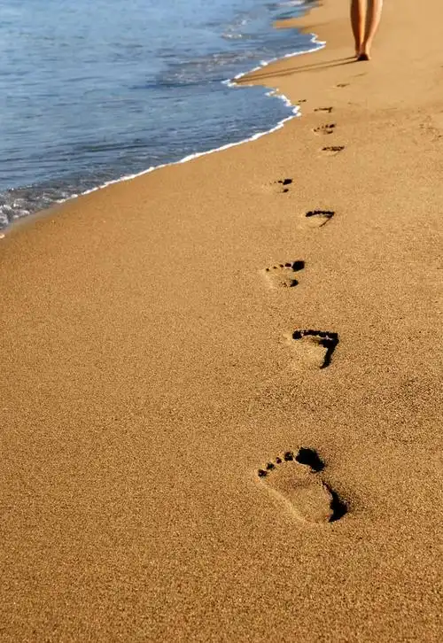 评论区中文字的足迹