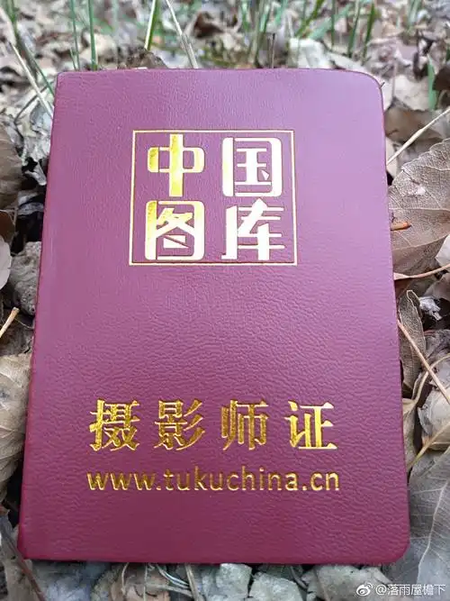 拿到证啦中国图库摄影师证