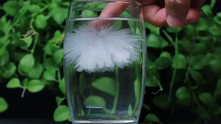 热冰是什么?为什么可以点水成冰,原理是什么?_网易视频