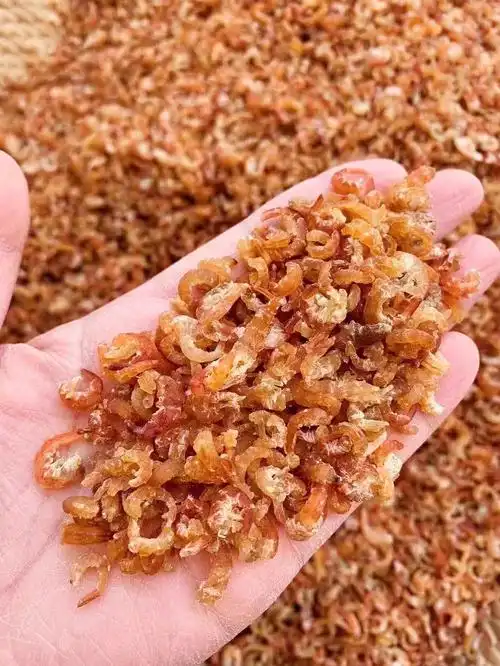 正宗长岛金钩海米,渤海湾深海产品,采用最新鲜刚下船的虾,直接料熟