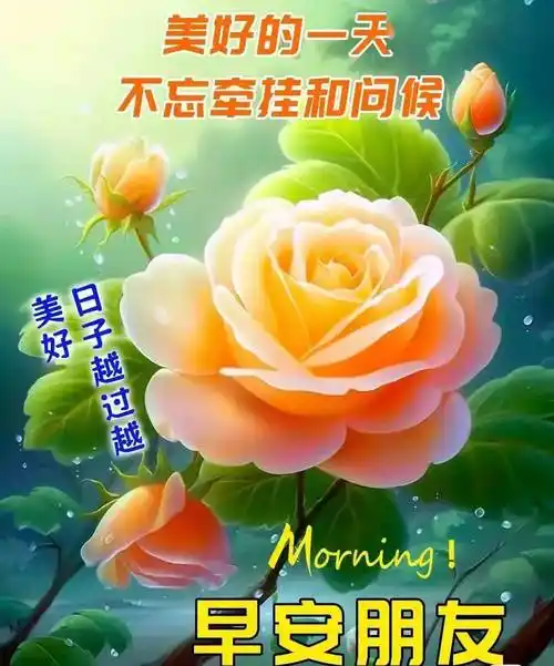 11月15日周三早上好,暖心的冬日早安问候语唯美图片带字祝福,周三愉快