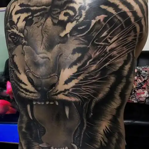 老虎满背提白,修整细节,终于完_纹身吧社区 - 纹身大咖