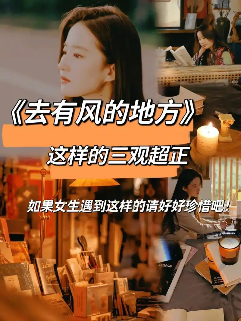 《去有风的地方》那些刷新认知的台词.