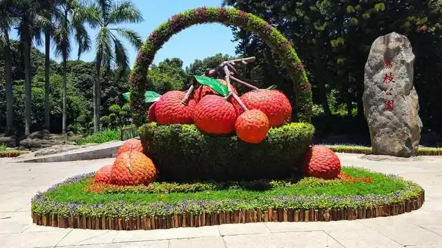 深圳荔枝公园图片