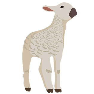 羊手绘图片大全