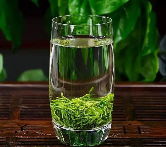 绿茶的冲泡要诀
