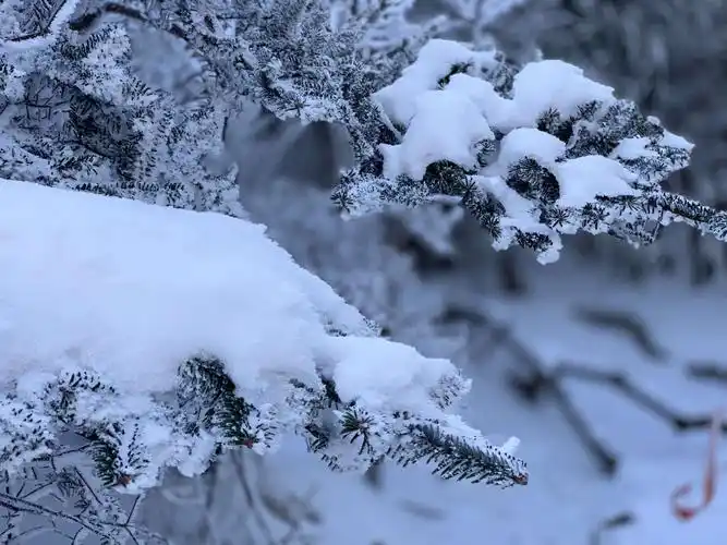 走进大山,看看大山里冬天的景色