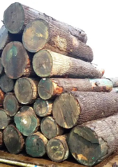 特价优质精品 红橡木材 高档 雕刻防虫底座木板 厂家直销