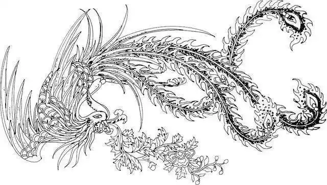 黑白线稿高清凤凰白描线稿赶快收藏