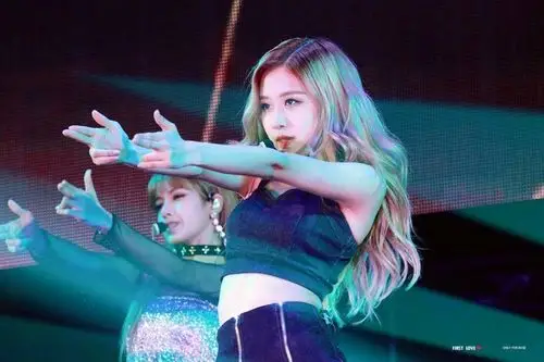 rose朴彩英吧官博 - 堆糖,美图壁纸兴趣社区