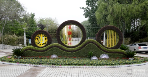 五一来滨州享鲜花盛宴30万余株花卉扮靓市城区