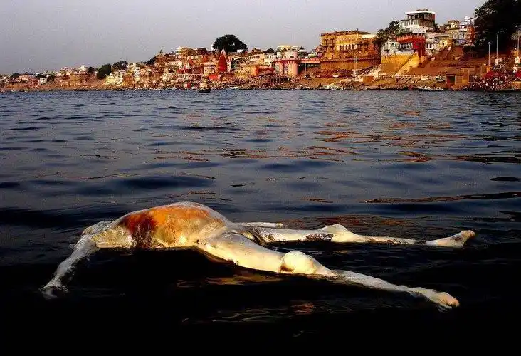 印度恒河水葬,让人受不了!|印度教|恒河|天堂_新浪新闻