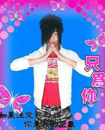 葬爱家族成员背景资料照片介绍