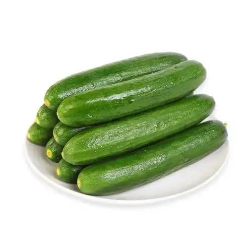 小青瓜高山菜400g份