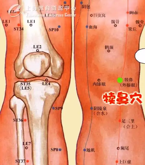 课程推荐膝关节炎危害严重不妨试试这个疗法