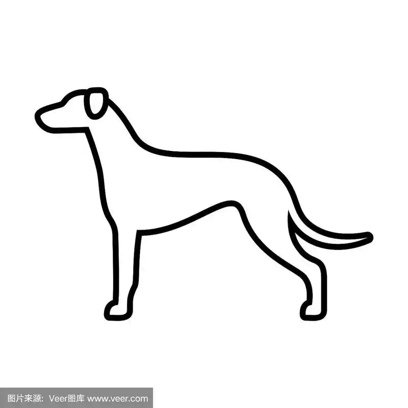 计算机图标,灰猎犬,狗,分离着色,白色背景